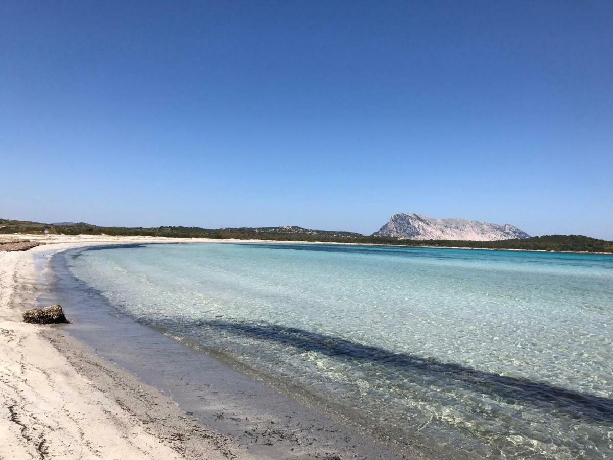 Le Case Del Mare Порто Сан Паоло Екстериор снимка