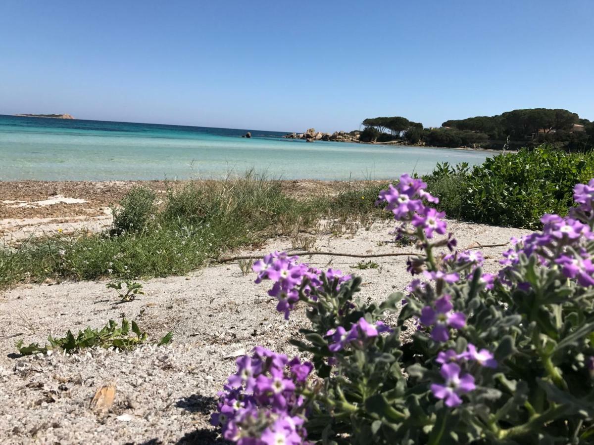 Le Case Del Mare Порто Сан Паоло Екстериор снимка